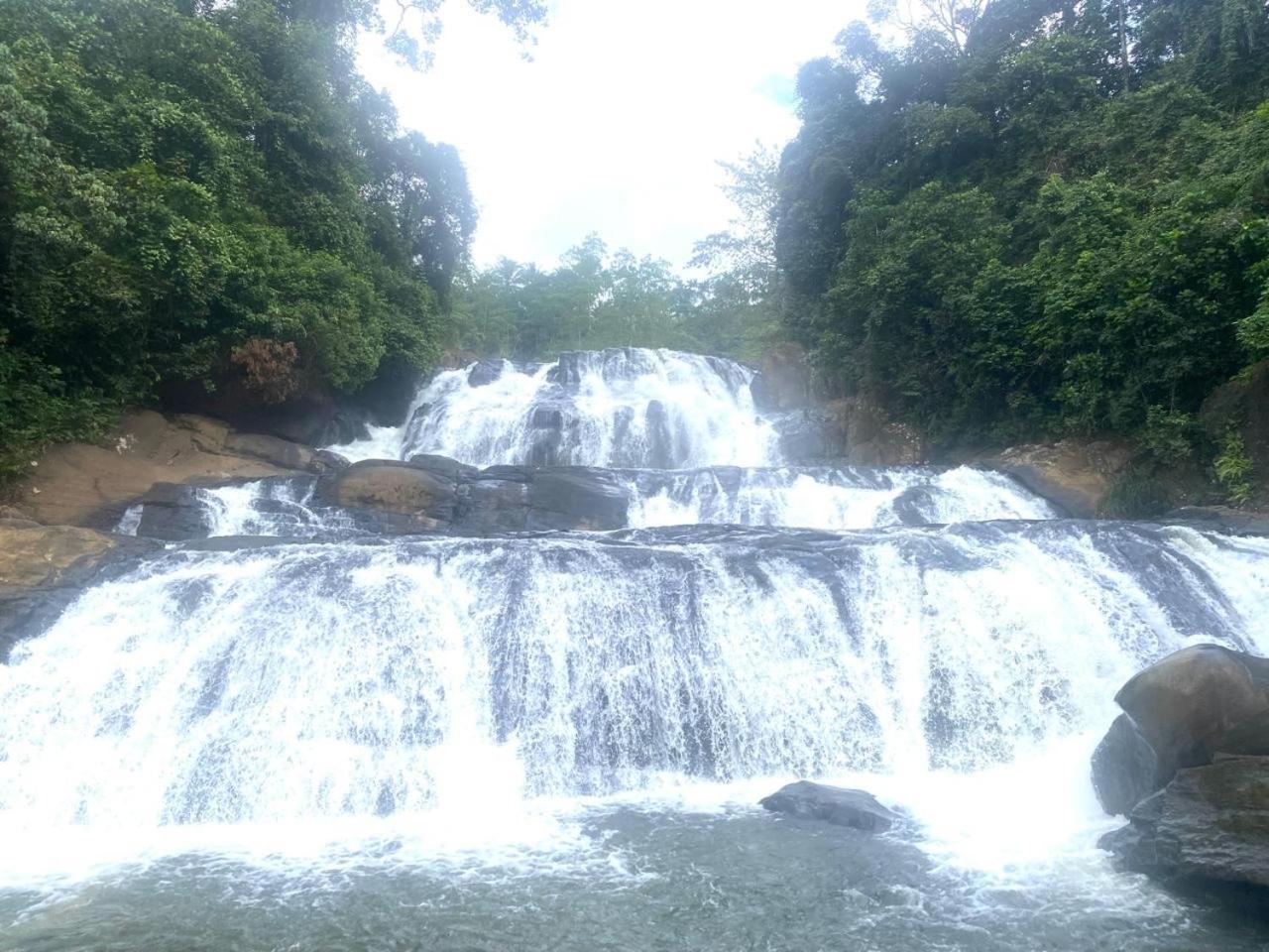 Sinharaja Riverside Денияйя Экстерьер фото