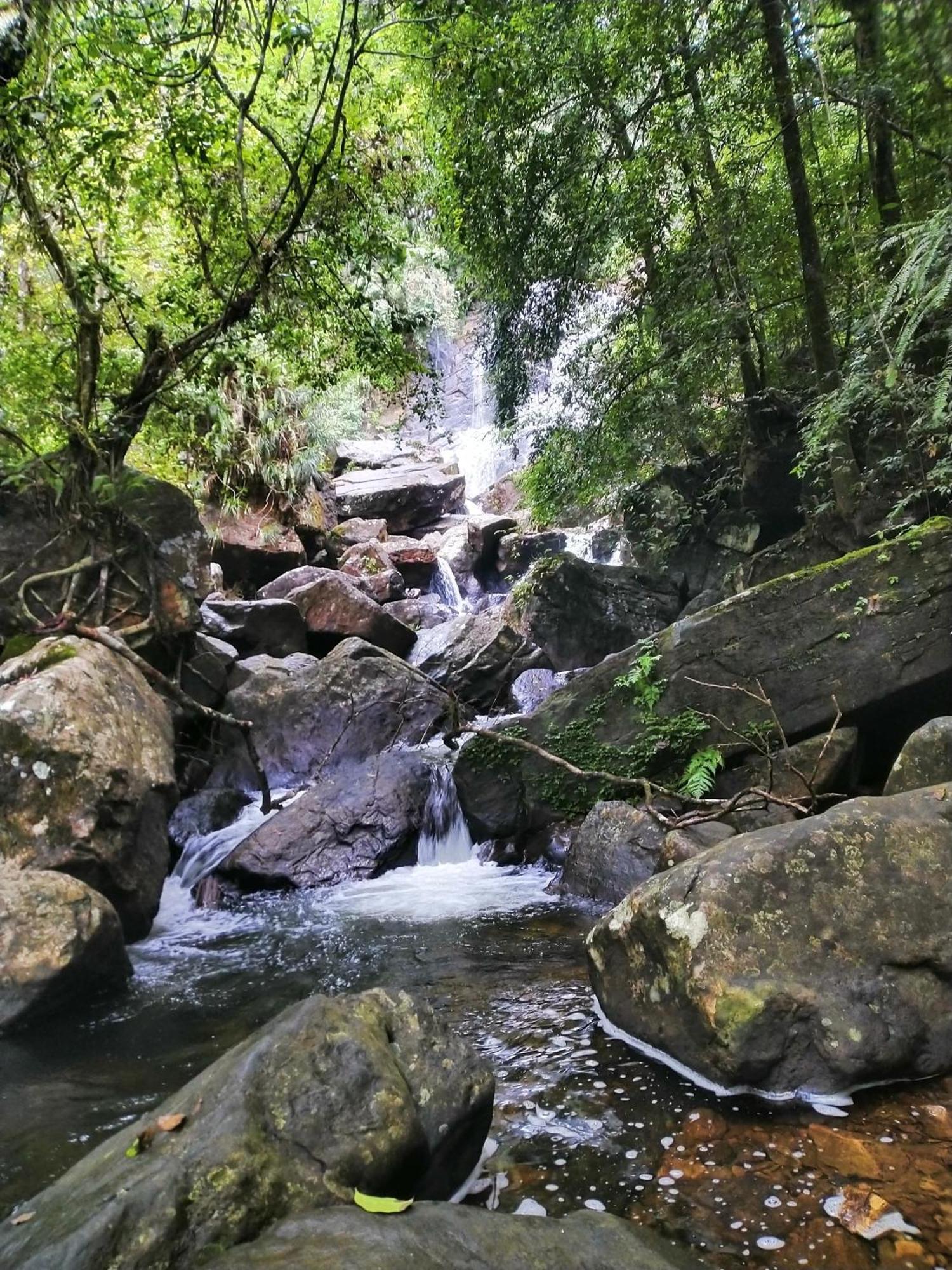 Sinharaja Riverside Денияйя Экстерьер фото